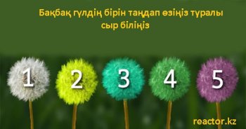 ПСИХОЛОГИЯЛЫҚ ТЕСТ: БАҚБАҚ ГҮЛДІҢ БІРІН ТАҢДАП, ӨЗІҢІЗ ТУРАЛЫ СЫР БІЛІҢІЗ