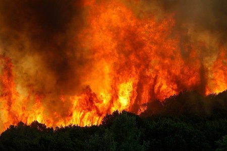 АҚТӨБЕДЕ БІР АУЫЛ ҰЙҚЫСЫЗ ҮРЕЙДЕ: БЕЛГІСІЗ БІРЕУ ҮЙЛЕРДІ ШЕТІНЕН ӨРТЕП ЖҮР