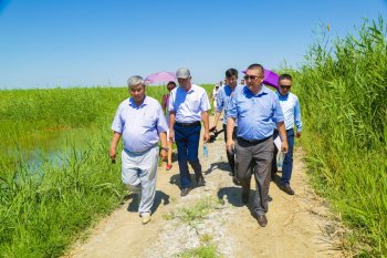 Ауылшаруашылығы саласының кәсіпкерлері біліктілігін көтеруде